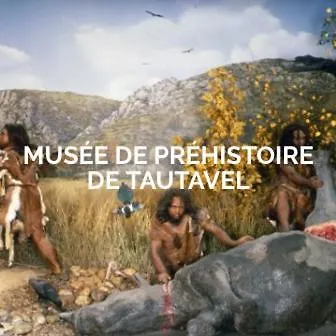Visite Languedoc Roussillon Perpiñán